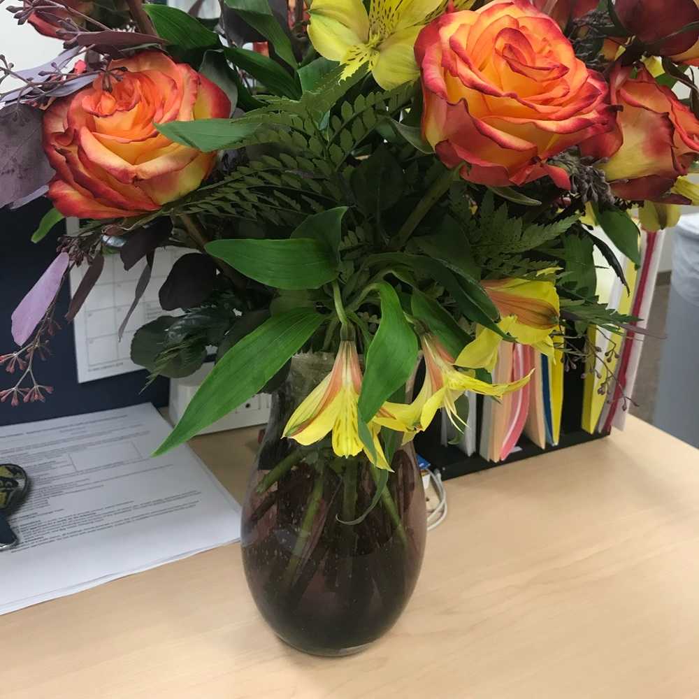 Meet your Posher, Rachel